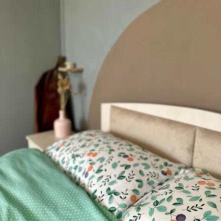 公寓 Zen Andreea Apartament *