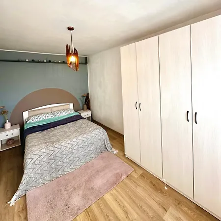 Zen Andreea Apartament 公寓 康斯坦察
