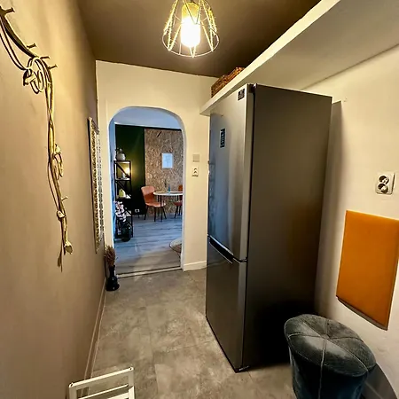 公寓 Zen Andreea Apartament