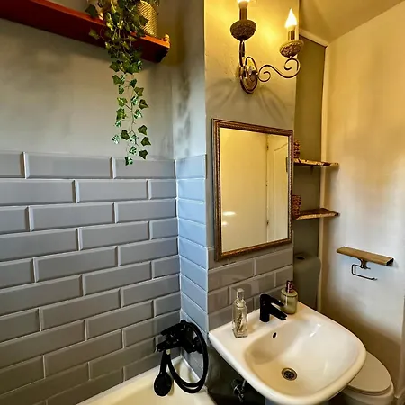 Zen Andreea Apartament * 康斯坦察