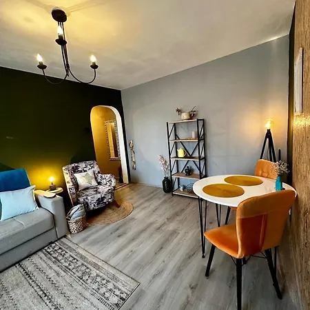 公寓 Zen Andreea Apartament