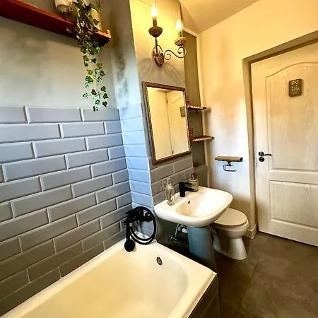 Zen Andreea Apartament 公寓 康斯坦察
