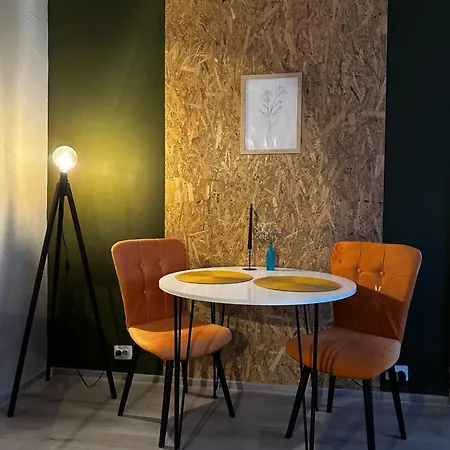公寓 Zen Andreea Apartament 康斯坦察