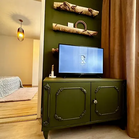 公寓 Zen Andreea Apartament *