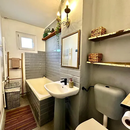 Zen Andreea Apartament 公寓 康斯坦察