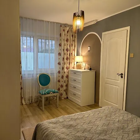Zen Andreea Apartament 康斯坦察